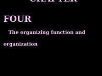 ch 4 organizing.pptx